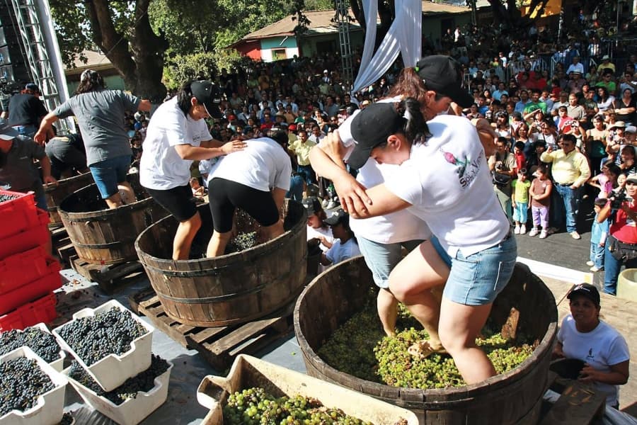 A vibrant scene at a vendimia festival in Santiago, with people enjoying wine tastings and live music under colourful festival banners