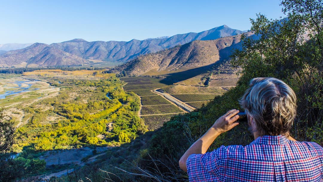 Maipo Wine Tours